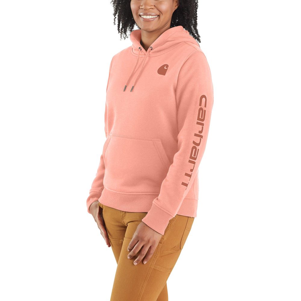 Carhartt Women's Fashionable Clarksburg Sleeve Logo Hoodie in Sun Bloom Color for All Seasons
