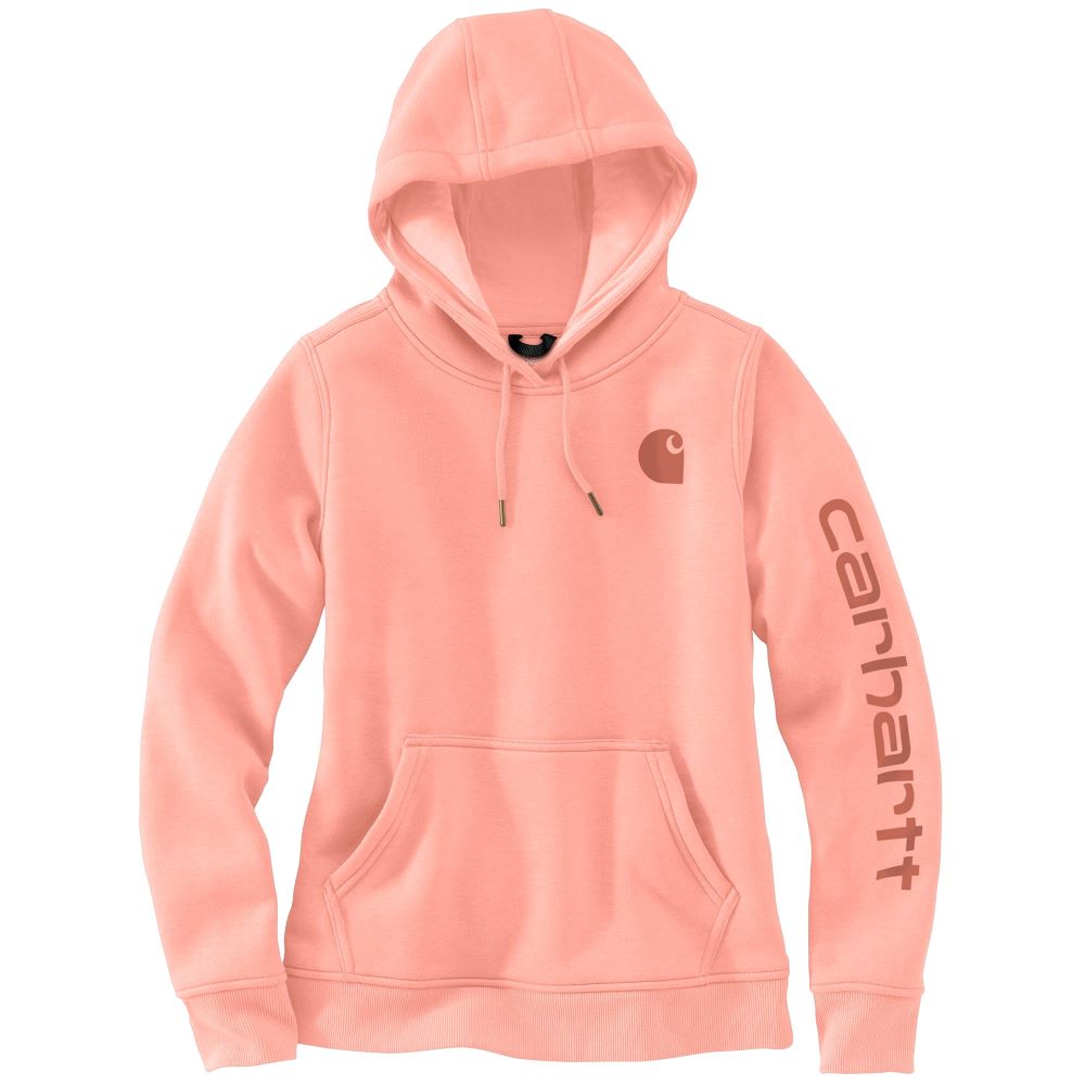Carhartt Women's Fashionable Clarksburg Sleeve Logo Hoodie in Sun Bloom Color for All Seasons